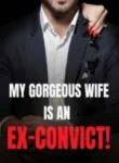 my-gorgeous-wife-is-an-ex-convict