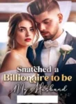 Snatched-a-Billionaire-to-be-My-Husband-Cora-Lane-Novel