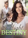 NightofDestinyNovelbyVanessaK